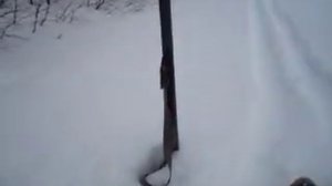 охота на Ямале петли на куропаток