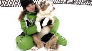 Австралийская Овчарка Фанта (Аусси) 6мес