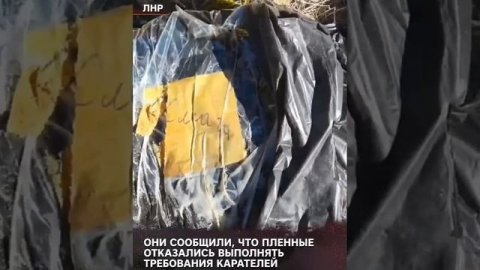 Под Северодонецком обнаружили останки защитников ЛНР, убитых выстрелами в затылок