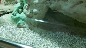 Террариум в Московском Зоопарке