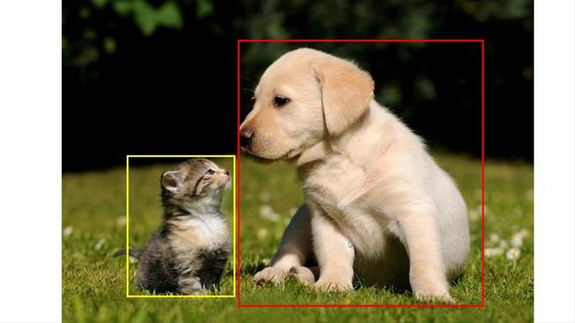 Image classification vs Object detection vs Image Segmentation | Deep Learning Tutorial 28