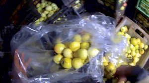 Как сохранить яблоки до весны