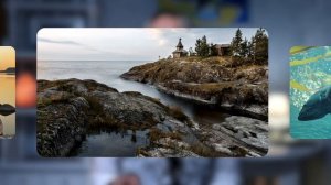 Путеводитель по Карелии: что посмотреть, чем заняться, история и интересные факты