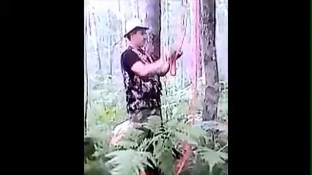 Лесные Рейнджеры Рейнджерские будни
