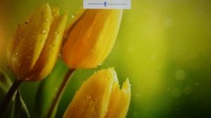 Прямое и переносное значение глаголов