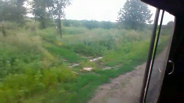 Трава, трава у дома, высокая, зелёная трава смотреть онлайн