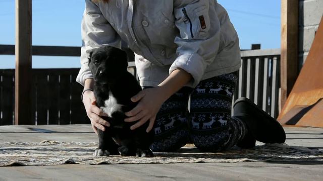 ОЕССЕНН СТИЛЬ ТАЙШЕТ 42 дня смотреть онлайн