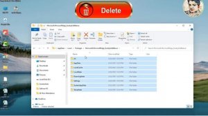 msedge.exe application error