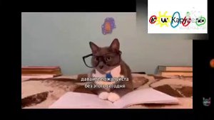 Анонс kotiynet Канал карусель (10.06.2023)