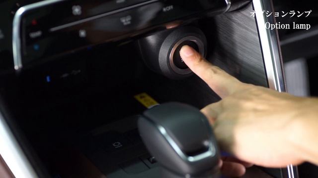 TOYOTA HARRIER 80 ハリアー80用VerticalArrow typeZs LED Door mirror winker  ヴァーティカルアロー AVEST