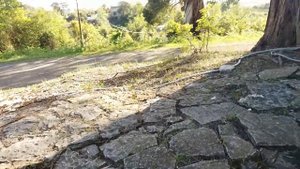 Экскурсия от Сочи до Сухуми Абхазия (видео без слов)