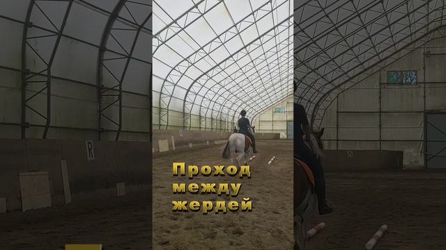 Кусочек тренировки с Алисой на Джуниоре и Алисой на Лунтике.