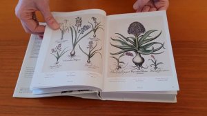 BASILIUS BESLER'S FLORILEGIUM. THE BOOK OF PLANTS - Bibliotheca Universalis #Taschen (leaf through)