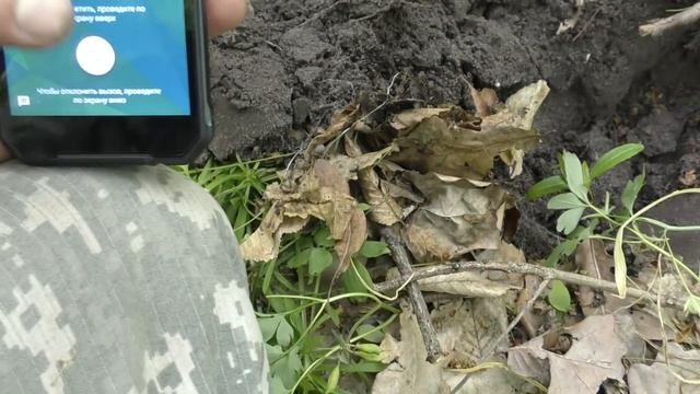НЕРЕАЛЬНО ПОВЕЗЛО на КОПЕ в ЛЕСУ!  Не ПОВЕРИЛ Глазам УВИДЕВ ЦЕНУ этой НАХОДКИ! Коп с RUTUS ALTER 71