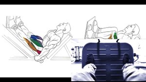 Двухдневный сплит для набора мышечной массы. День1