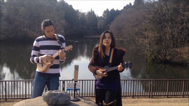 Safe and Sound ( Ibañez and Epiphone Ukulele) смотреть онлайн