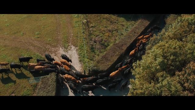 Maidstone, Kent | Drone Reel | Blueprint Film смотреть онлайн