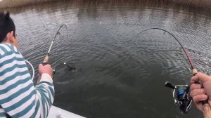 ПОВАДКИ ЩУКИ ВЕСНОЙ | Как ловить щуку весной ?