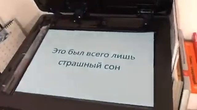 Что делают сотрудники когда начальник в отпуске