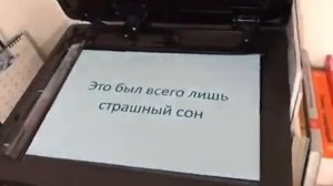 Что делают сотрудники когда начальник в отпуске