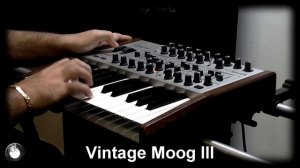 LEADS COLLECTION SOUND BANK | ARTURIA MINIBRUTE