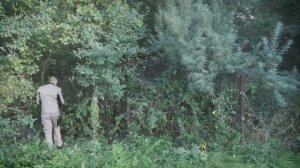 Расчищаю соседний участок от кустов и деревьев. Соединяю участки.