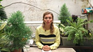 Как избавиться от ЗЕМЛЯНЫХ МОШЕК?
