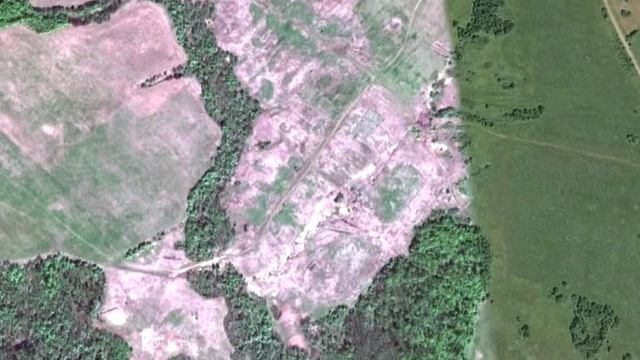 Роза Даминовой - Поздравительный клип