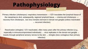 Herpes Zoster - Shingles