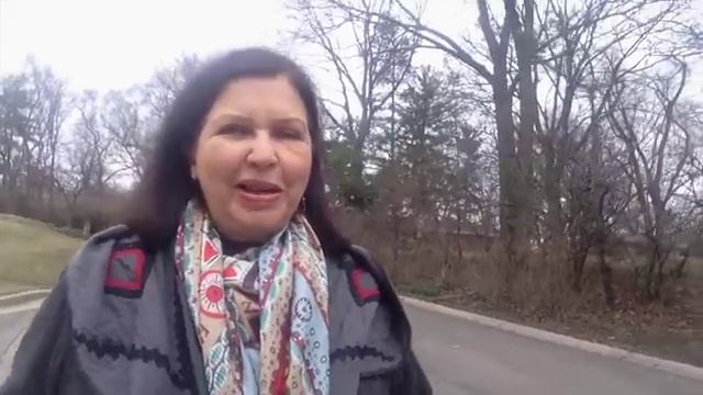 Синхронный перевод: заработок или образ жизни. Откровения профессионального переводчика из США. смотреть онлайн