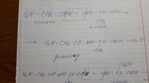 Образование пептидов. Запись структурной формулы пептида