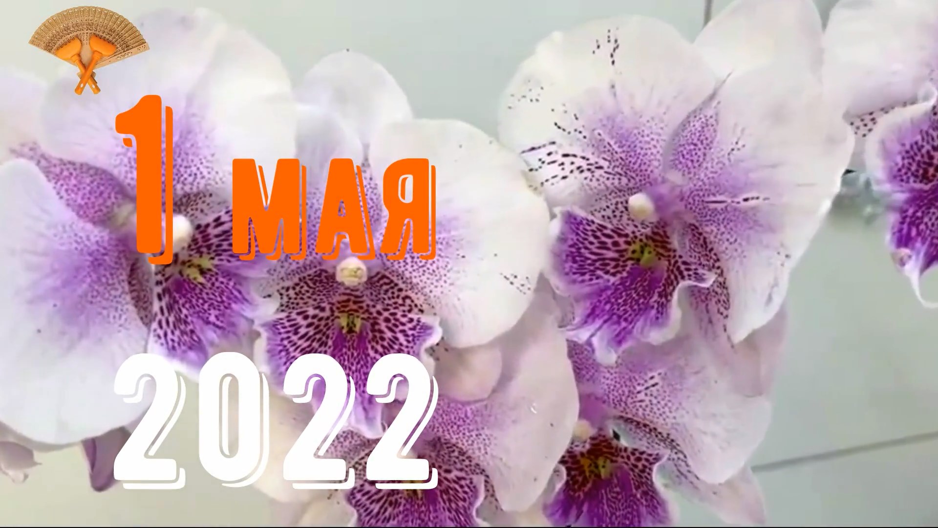 Грабли веерные Для любителей канала Грабли Лайф 01.05.2022.mp4