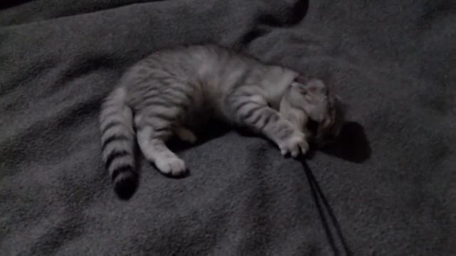 Бонечке 3,5 месяца на новом месте жительства смотреть онлайн