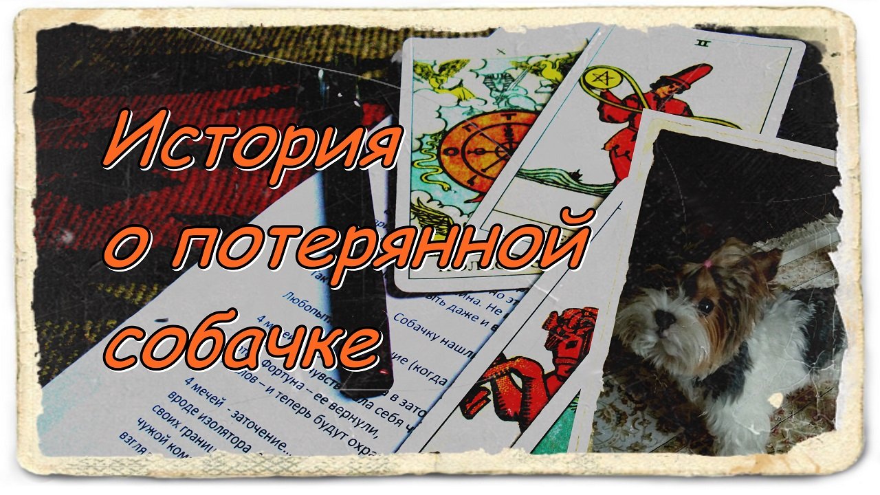 История о потерянной собачке.