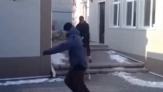 школа подготовки собак "Лидер"