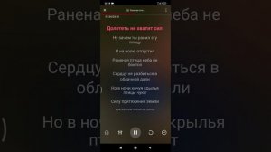 Караоке - Раненая птица (Диана Гурская)