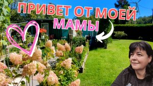 Прогулка по красочному саду моих родителей в сентябре ?? Просто Мария
