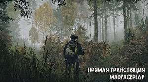 АТМОСФЕРНОЕ ВЫЖИВАНИЕ В DAYZ... НУ ТИПА #dayz #dayzstandalone