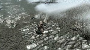 Skyrim: Friendly Ice Wolf