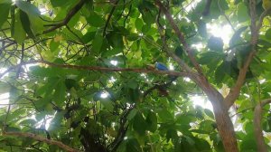 Thulhagiri Island Resort & SPA! Maldives!