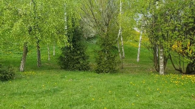 Лена и Ваня LIFE \ Лепёшки на ночь - это наше ВСЁ!!! \ Обзор влогов смотреть онлайн