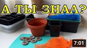 100500 ёмкостей ДЛЯ РАССАДЫ: преимущества и недостатки???