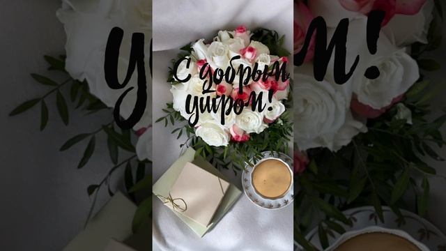 Короткое видео с добрым утром для Ватсап смотреть онлайн