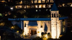 Sigma 24-70 F2.8 ART + Sony A7RIV | Backlight