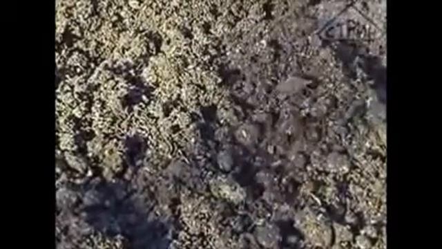 Чудо лопата смотреть онлайн