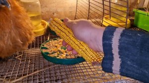 в тесноте да не в обиде🙌