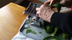 Очищаем алое вера. Prepparing Aloe Vera.