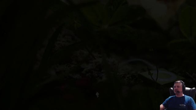 AntVentor. ? Прохождение ??? ( часть 2). смотреть онлайн