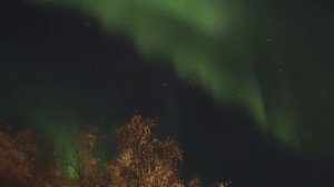 Саман под стеклянным куполом на севере Норвегии