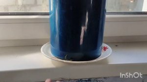 НОВЫЙ РЕЦЕПТ ТОМАТОВ